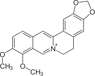 Blood Sugar Support+ Ingredients